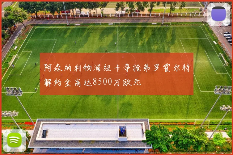 阿森纳利物浦纽卡争抢弗罗霍尔特解约金高达8500万欧元